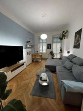 Cozy apartment in city center, free wi-fi